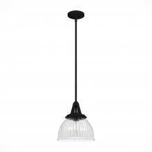 Hunter 19247 - Hunter Cypress Grove Natural Black Iron with Clear Holophane Glass 1 Lt Pendant Ceiling Lt Fixture